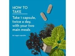 HUM Nutrition Counter Cravings -Beauty Shop a4gje0nm 202212191703040834