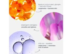 Dermalogica Phyto Nature Oxygen Cream -Beauty Shop ve5chkzr 202302272000177759